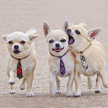 Stylish Dog Bow Ties for Large Pets - Adjustable Neck Tie Set for Every Occasion - Perfect for Valentine's Day, Holidays, Weddings, and More!