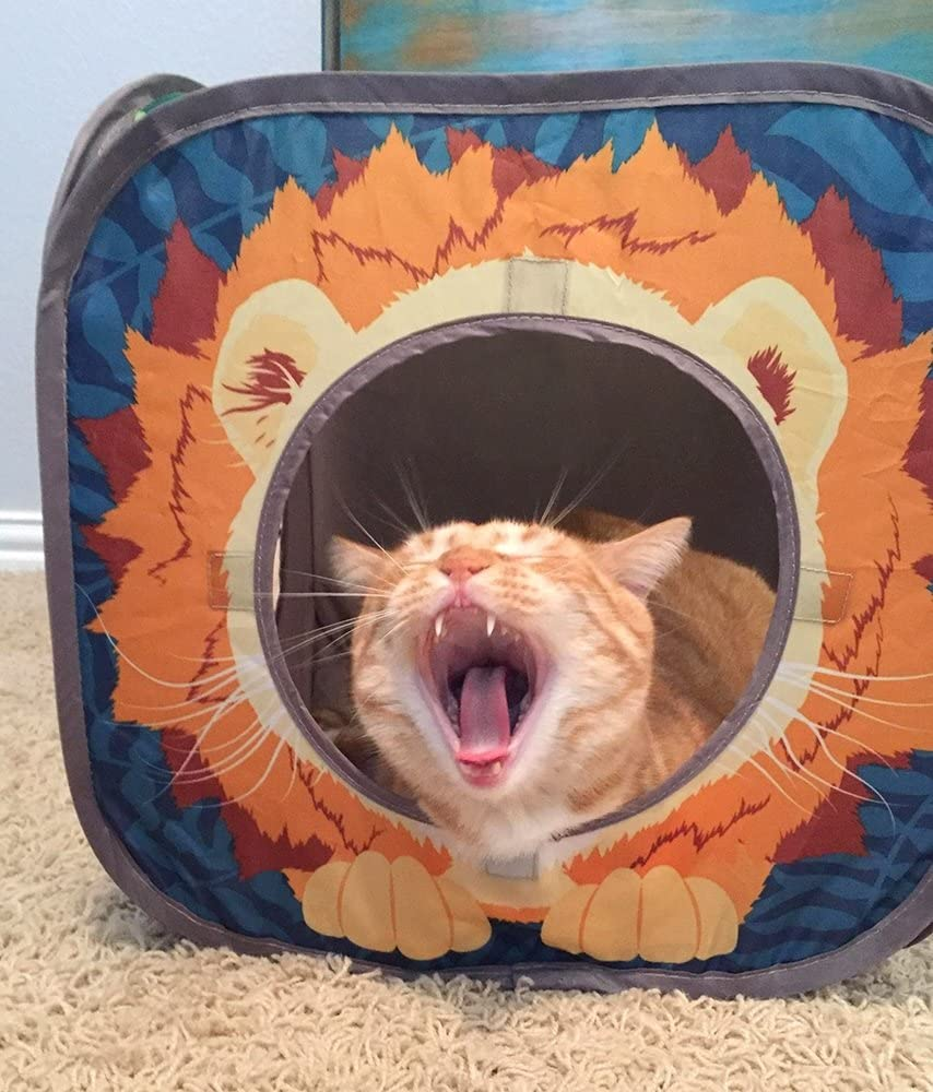 Safari Jungle Cat Play Set, Collapsible Pop-Up Cat Toys Combo with Cube, Tunnel & Hideout, Interactive Indoor Cat Playhouse for Exercise, Hiding & Lounging